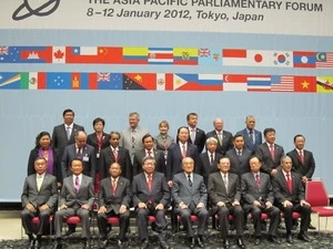 NA Vice Chairwoman Tong Thi Phong and other delegates at APPF-20 in Tokyo (Source: VNA)