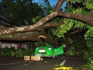 Storm Kai Tak death toll climbs to 27 