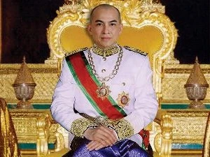 King Norodom Sihamoni (Source: VNA)