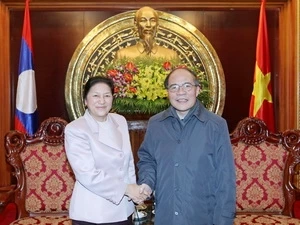 Vietnamese and Lao NA leaders (Source: VNA)