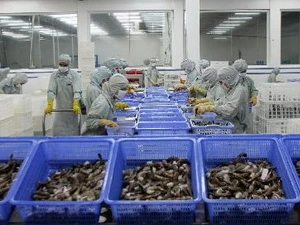 Export shrimp processing in Hau Giang (Source: VNA)