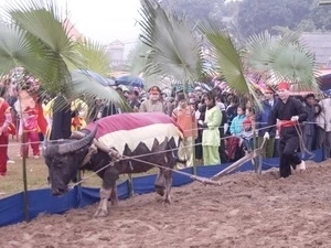 Long Tong festival (Source: Anh Tuan/VNA)