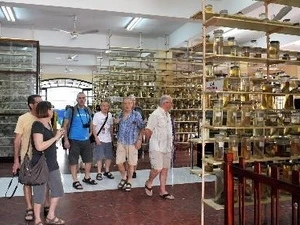 Russian tourists visit the Nha Trang Oceanography Institute (Source: VNA)