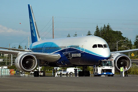 Boeing 787 aircraft (Source: Internet)