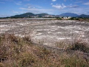 Dioxin detoxification at Da Nang airport is on progress. Photo: VNA