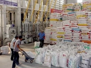 1,220 tonnes of rice will be supplied for the poor and people in difficulty in Nghe An (Source: VNA)