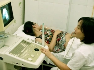 A pregnant woman receives a health check-up (Source: VNA)