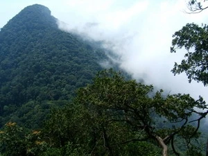 King Peak, the highest peak in Ba Vi National Park (Source: VOV)