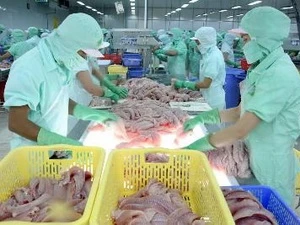 Processing tra fish for export (Source: VNA)