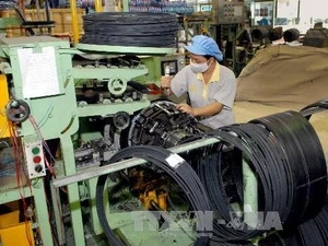 Inside a factory of the Camel Rubber Co.Ltd., invested with 5 million USD from Thailand, at the Lao Bao EZ in Quang Tri (Source: VNA)