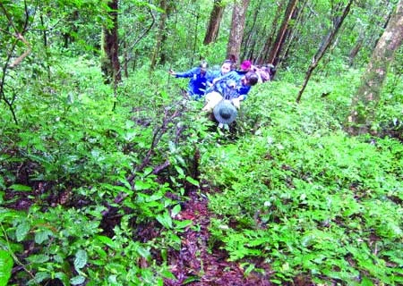 Tran Huu Vy and his group spend days trailing a troop of langurs in Kon Ka Kinh National Park.