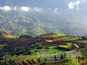 Two landscapes in Sa Pa recognised as Vietnam records 