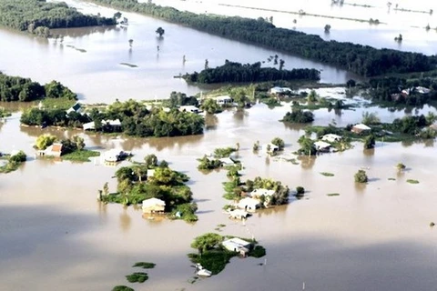 A severe flood in the Mekong Delta region due to climate change (Photo: VNA)