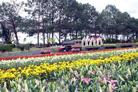 A part of Da Lat during the Flower Festival 2012 (Photo: VNA)