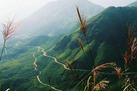 Hoang Lien National Park covers an area of nearly 30,000ha, spreading across six upland communes of Lao Cai Province's Sa Pa District and Lai Chau Province's Than Uyen District (Photo: VNA)
