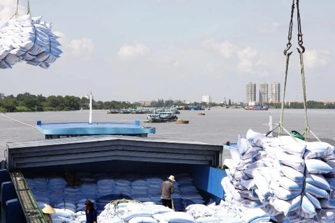 Loading rice for shipment (Photo: VNA)