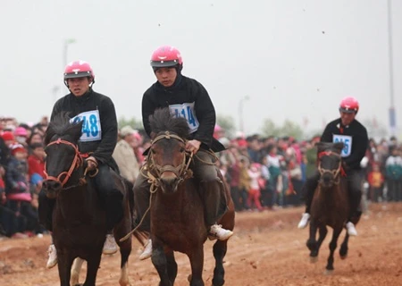 The horse race featuring Mong ethnic jockeys drew many onlookers on Saturday (Photo: VNA)