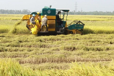 Granary-labelled Mekong Delta region (Photo: VNA)