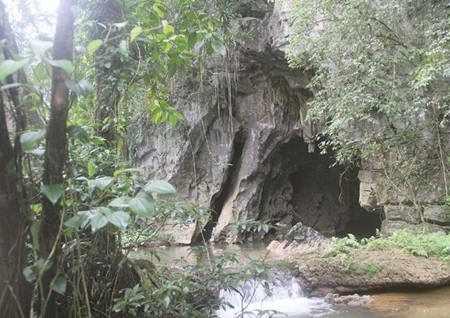 The entrance to a small cave near Tu Lan Cave in the central province of Quang Binh (Photo: VNA)