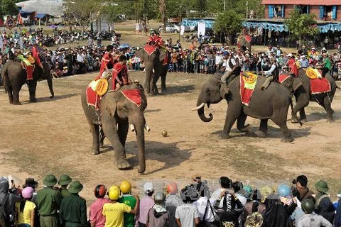 18 elephants will show off their strength and skills in running, football and swimming games (Photo: VNA)