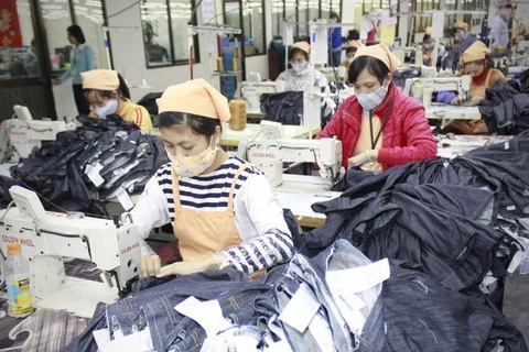 Producing jeans for export (Photo: VNA)