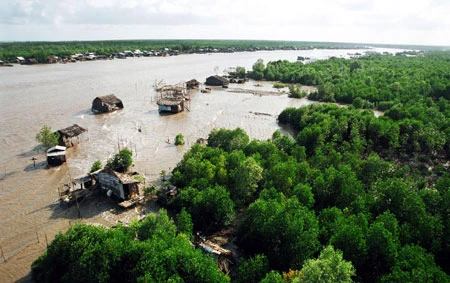 Photo shows a corner of Ca Mau National Park in southern Ca Mau province (Photo: VNA)