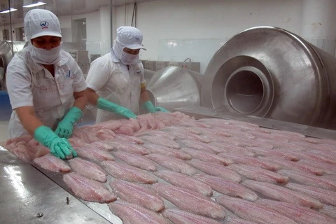 Processing tra fish for export (Source: VNA)