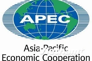 APEC highlights significance of skills in regional growth 