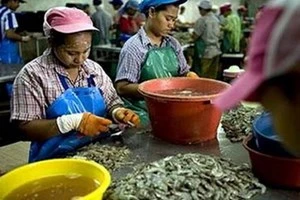 Myanmar workers at a seafood processing plant in Thailand (Source: AFP/VNA) 