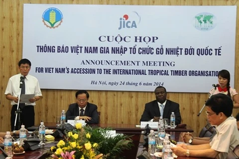 Vietnam becomes 69th member of ITTO (Photo: VNA)