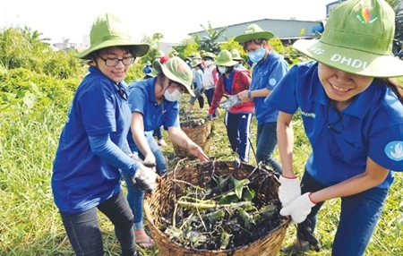 Student volunteers in HCM City clear bushes in Go Vap District as part of the 21st Green Summer Campaign (Photo: VNA)