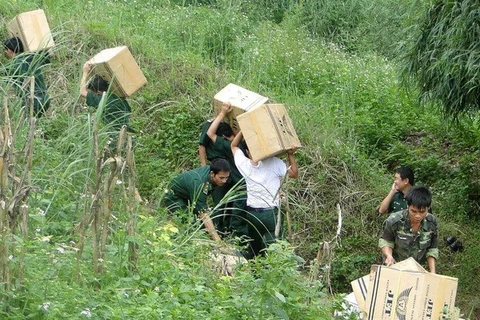 Seizing illegal cross-border transport of tobacco (Photo: VNA) 