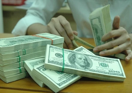 In August alone the amount was worth 333 million USD, nearly double the July figure (Photo: dddn.com.vn)