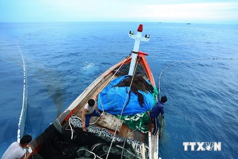 Fishermen in Ly Son island district go fishing in the East Sea (Photo:VNA)