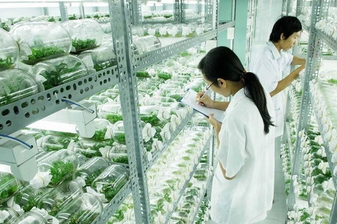 An agricultural laboratory (Photo: VNA)