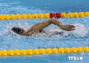 Swimmer Vo Thanh Tung (Source: VNA)