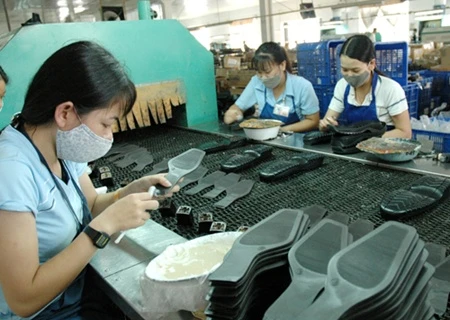 Footwear industry asked to make bigger strides (Photo: VNA)