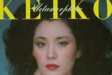 Japanese actress Keiko Matsuzaka plays the starring role. (Source: VNA)
