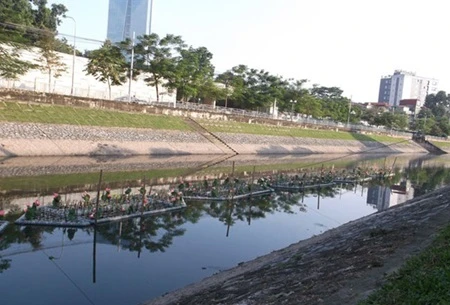 Hanoi authorities install aquatic rafts, made from pontoons and wood planks, with aquatic plants on To Lich River in an attempt to revive one of the most polluted rivers in the country (Photo: Mobiphone)