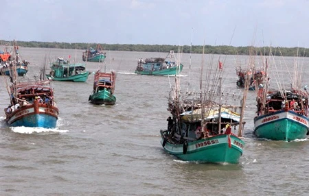 Fishing boats in Ca Mau province (Photo: VNA)