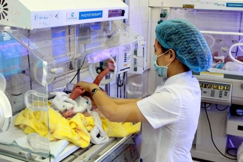 Caring new-born babies (Source: VNA)