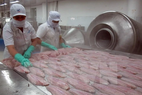 Tra fillets are processed at the Viet An Food Processing Joint Stock Company (Photo: VNA)