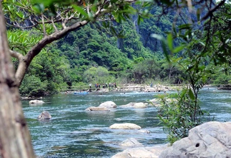 The province has permitted leasing of the Dong Chau forest land for scientific research and conservation. (Photo: VNA)