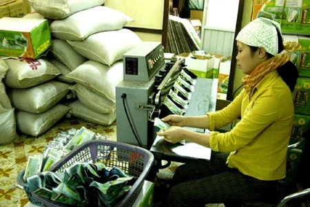 A worker packs seeds at the Viet Nam National Vegetable, Fruit and Agricultural Product Corp. Ltd. (Photo: VNA)