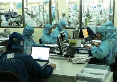 Workers at a company in Saigon Hi-Tech Park (Photo: SGGP)