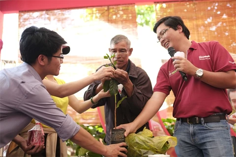 Nestle expert guides farmers to take care of coffee seeds (Source: Vietnam Agriculture)
