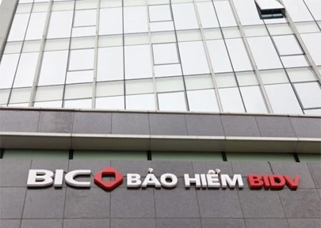 The Bank For Investment and Development of Vietnam Insurance Co (BIC) plans to issue a maximum of 41 million shares to foreign strategic investors. (Photo: VNA)