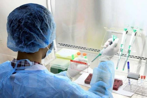 Vietnam, UK bolster cooperation in infectious disease research. (Photo: VNA)