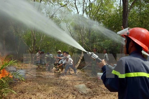 Forest firefighting exercise (Source: VNA)