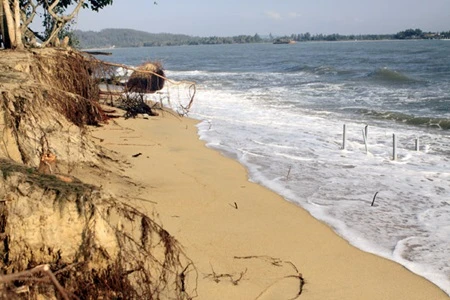Sea erosion on Cua Dai beach in the central province of Quang Ngai (Photo: VNA)